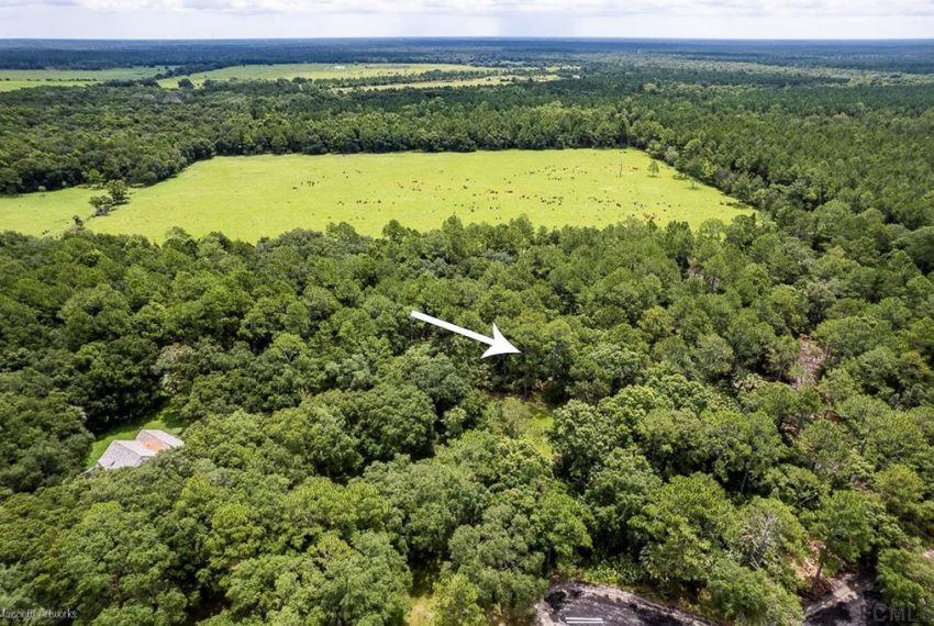 00 CR 90 E Bunnell 009