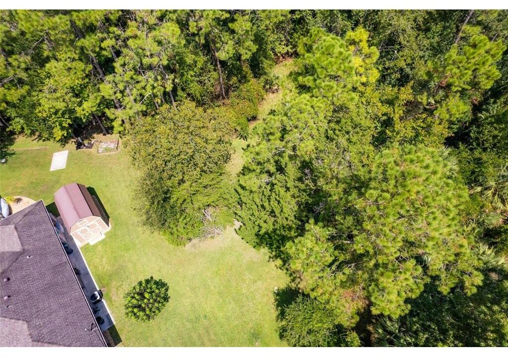 26 Kaffir Lily Pl 04